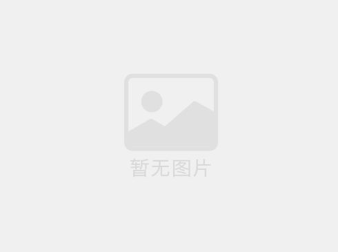體育球場圍網(wǎng)的價格和選擇需綜合考慮多方面因素，以下是具體分析及建議：